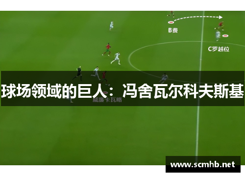 球场领域的巨人：冯舍瓦尔科夫斯基